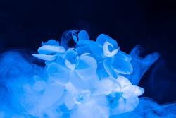 Endometriosi: la difficoltà di comunicare il proprio dolore